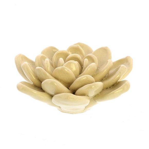 Nordstrom Ceramic Succulents - Picture 5 of 9